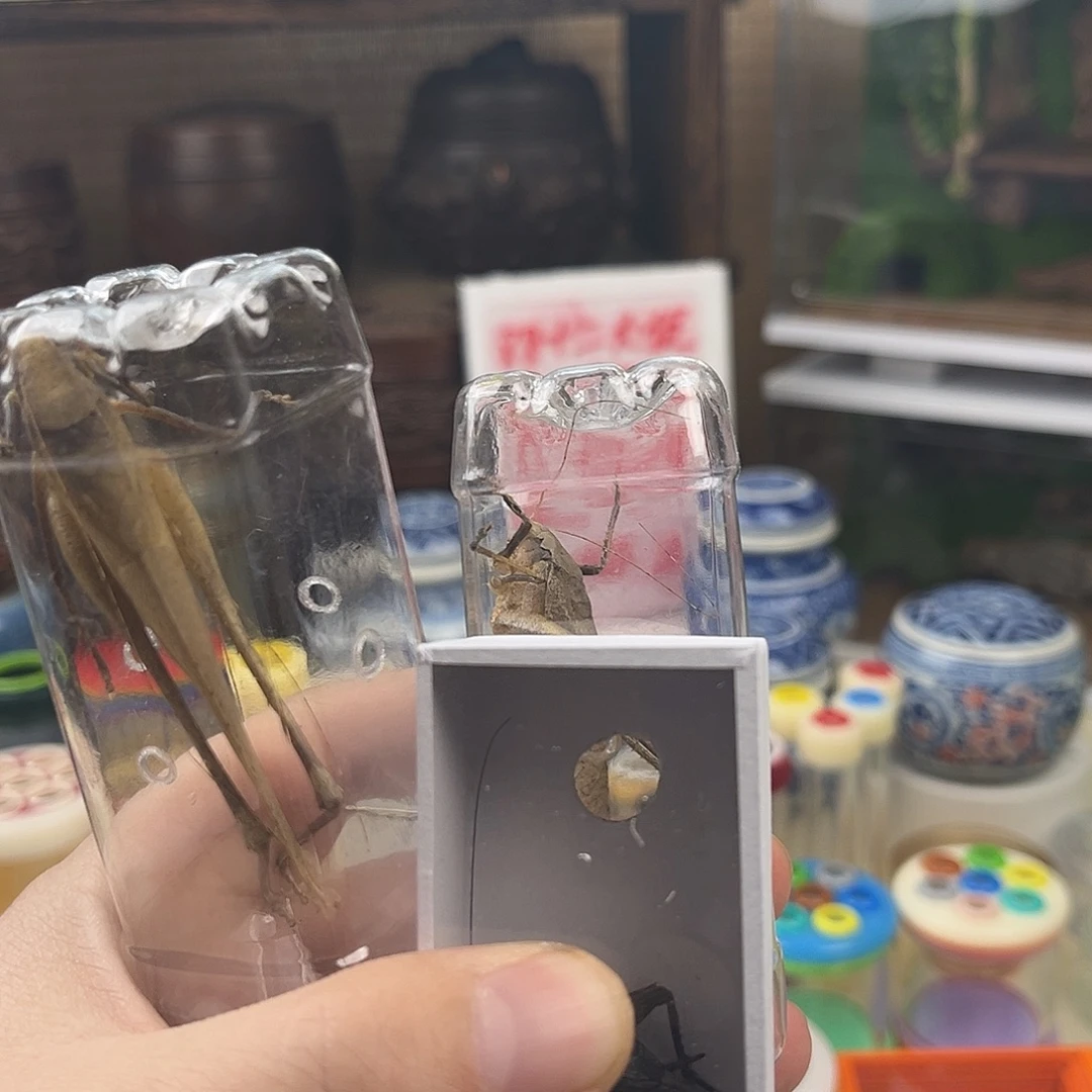 A***e两个蛙纺三个黑虫带两水盆