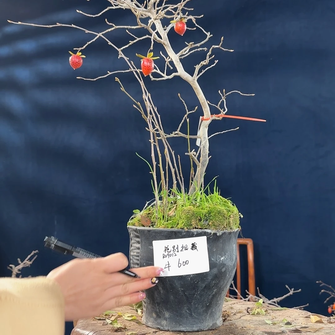 牛***哈哈哈哈哈哈哈哈哈哈