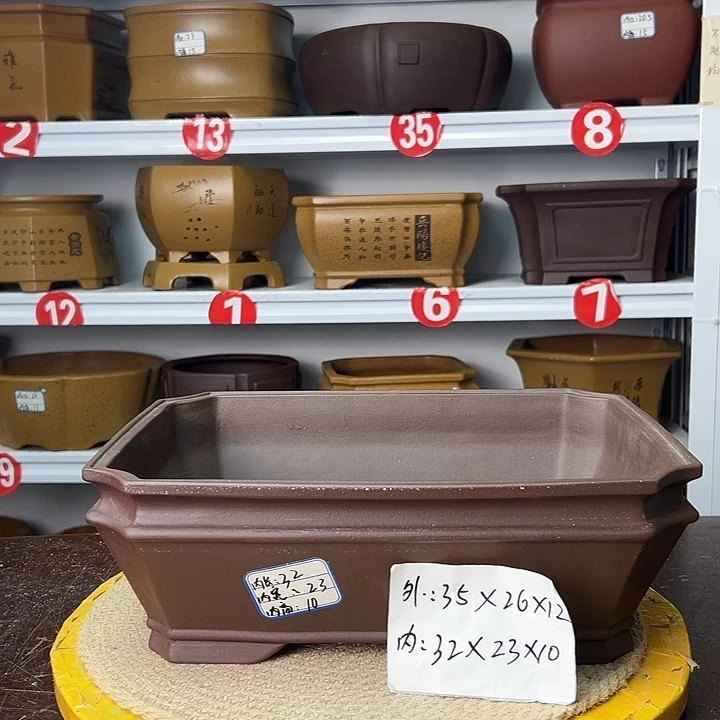 花盆紫砂你在一起