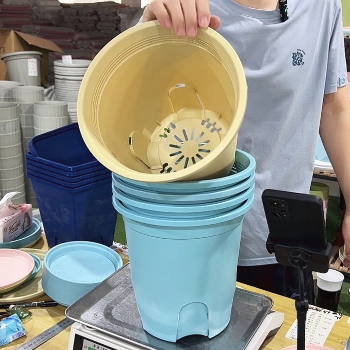 特价圆控口24高24混色无托5只