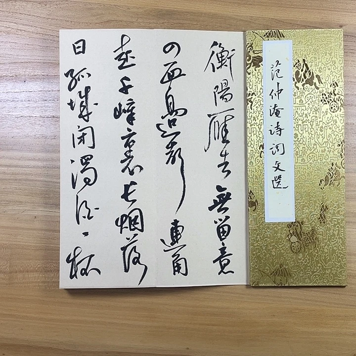 书法中书协老师书法