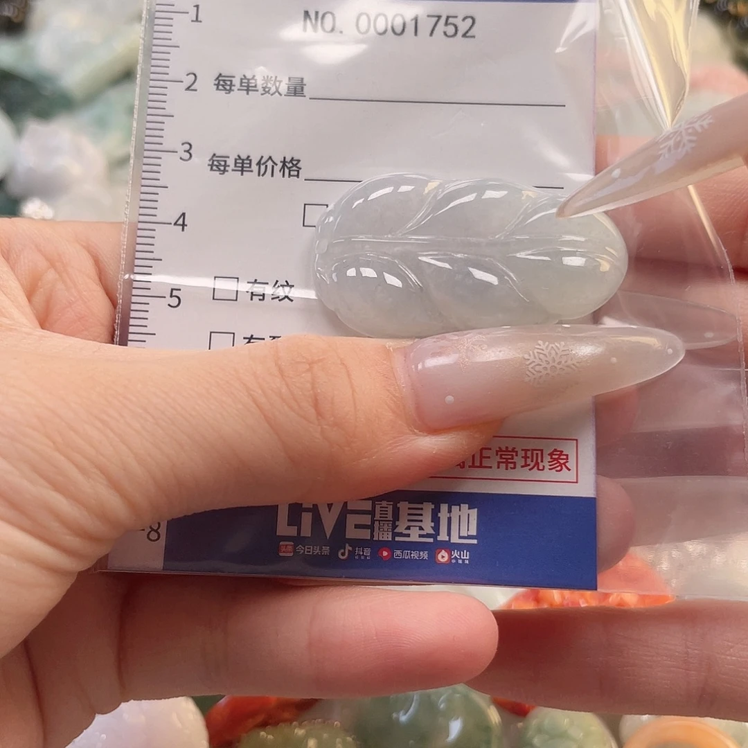 翡翠未镶嵌颈饰hhh