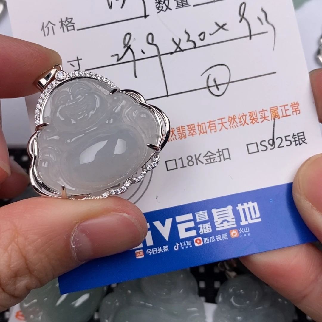 A***.翡翠银S925镶嵌颈饰