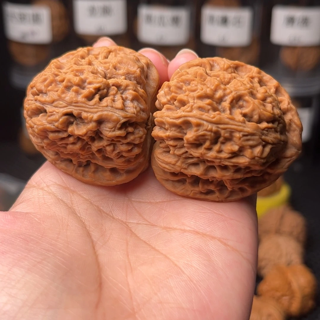 41南蒋41南蒋41南蒋
