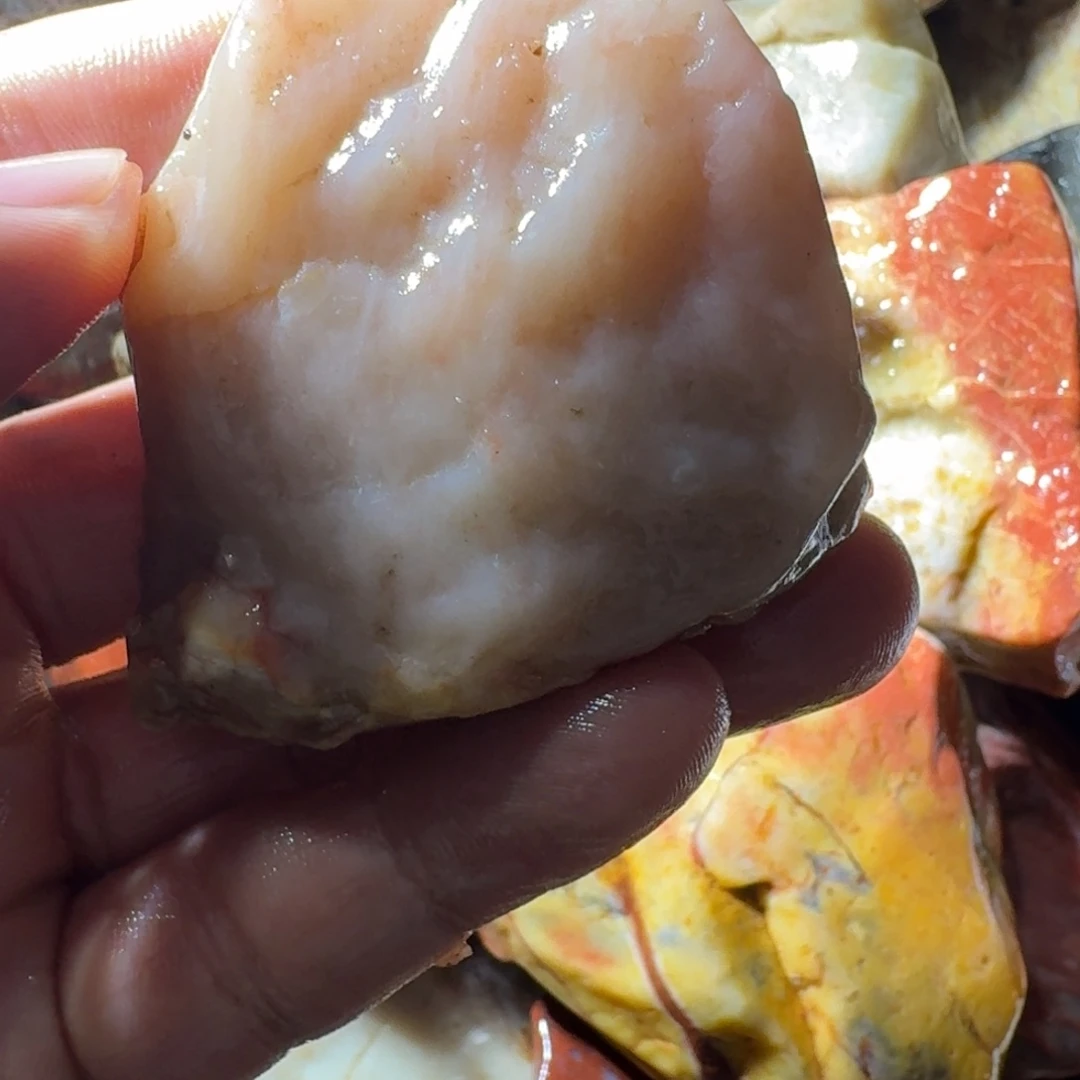 落***飞寿山石899888999888