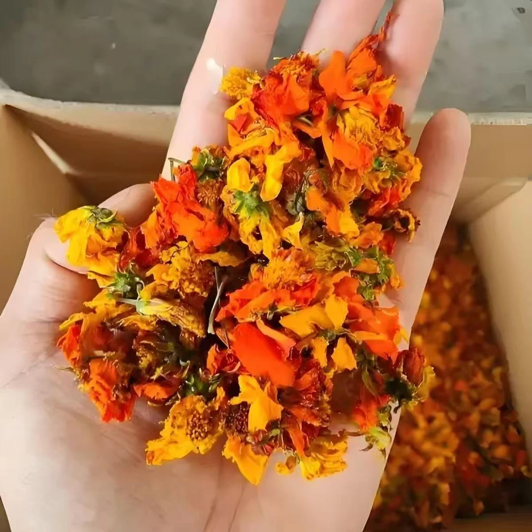 【冰菊】西域冰菊自然清香好喝 养生饮