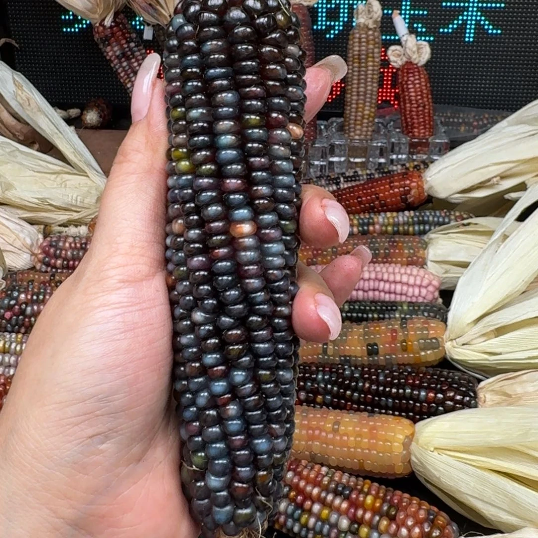 柏香籽/百香籽吊坠凌***油