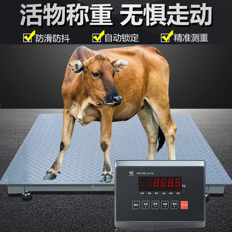 地磅秤1-3吨加厚称猪牛工厂物流电子小型地磅