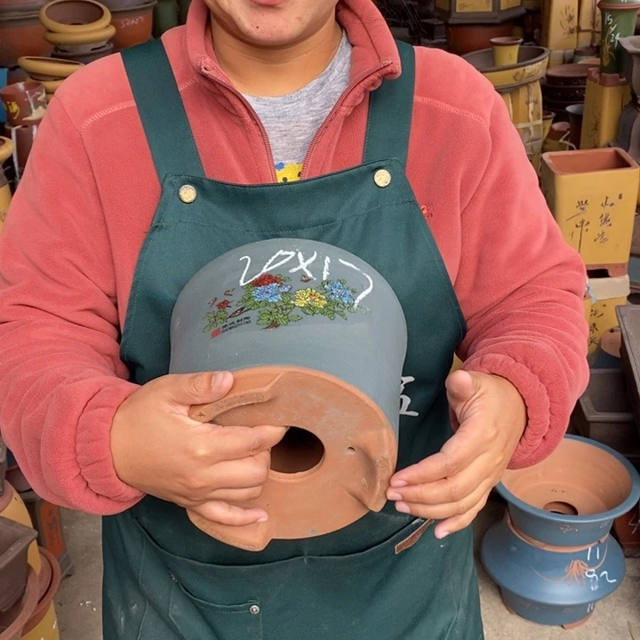 紫砂花盆盆栽花卉苗木种植