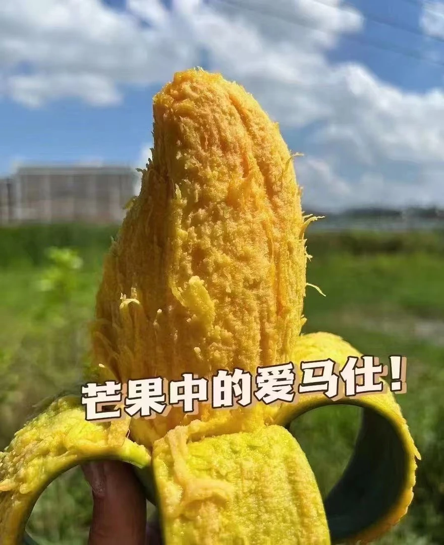 正宗广西田东老树花皮桂七芒果香甜多汁鲜新采摘发货