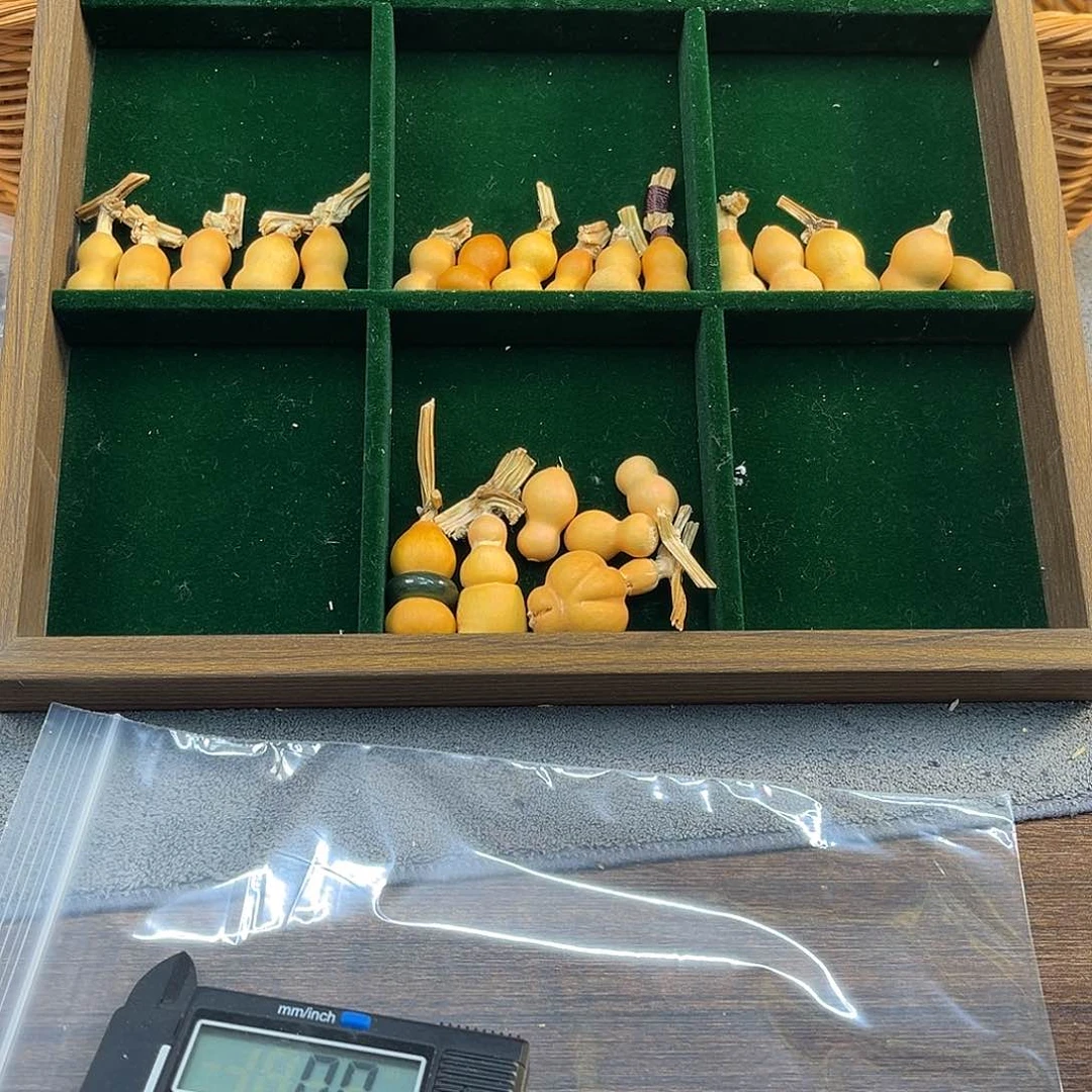 木燕**.你确定不？