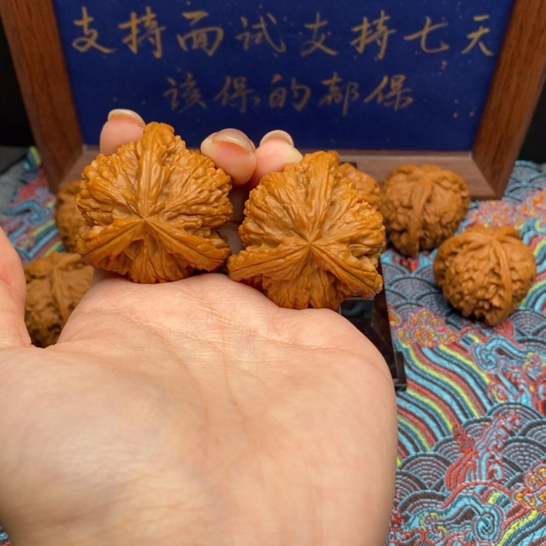 【闪购商品】沉**爱白狮