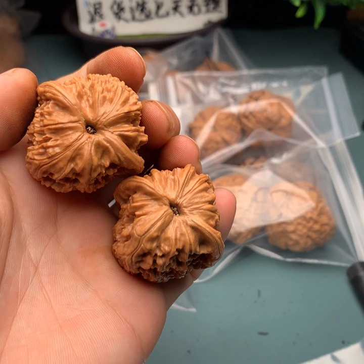 把件文玩核桃p****s红狮子84