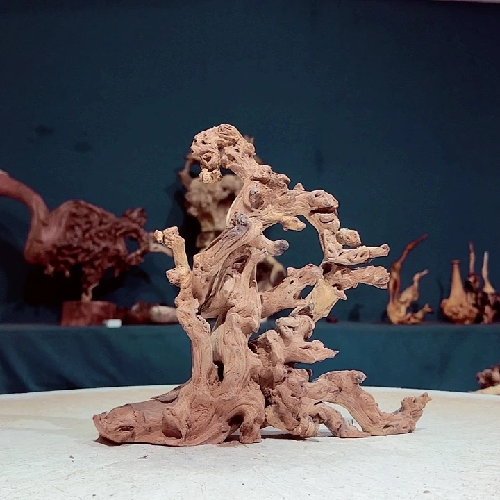 强***国金丝檀115金丝红木羊蹄甲半成品