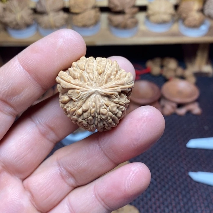 天***蝎文玩核桃把件尺寸