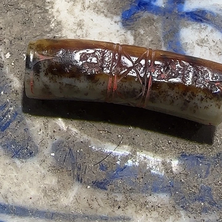 s***m5424254545454554545457