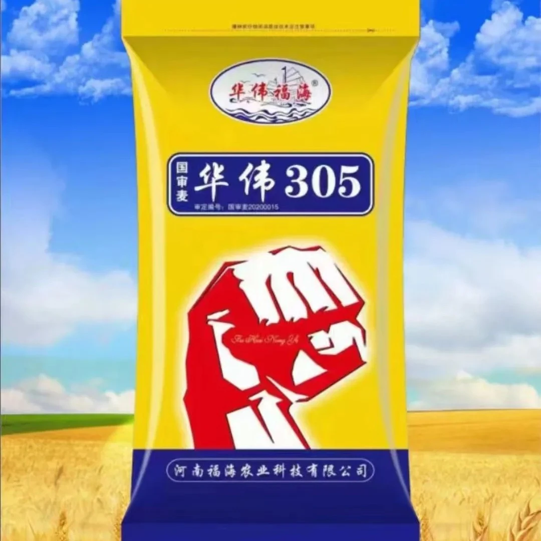 优质高产小麦品种