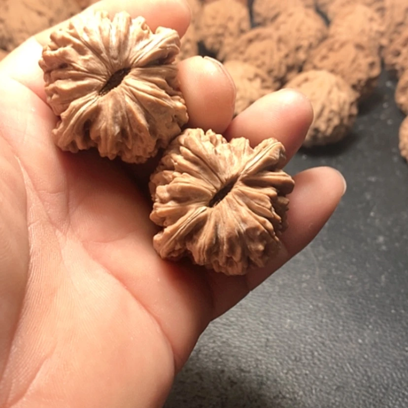 【闪购商品】黑*帅楼