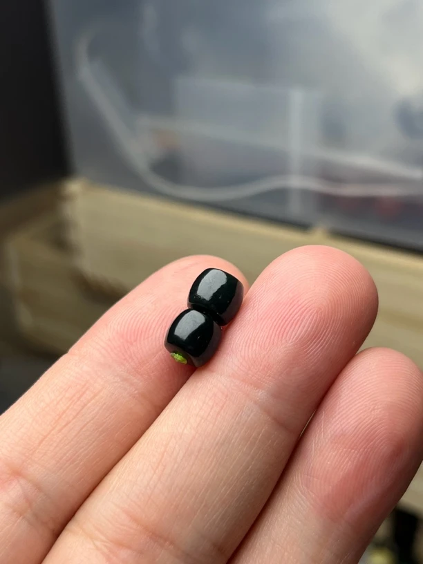 和田玉塔青黑青直切直径7×6mm一对