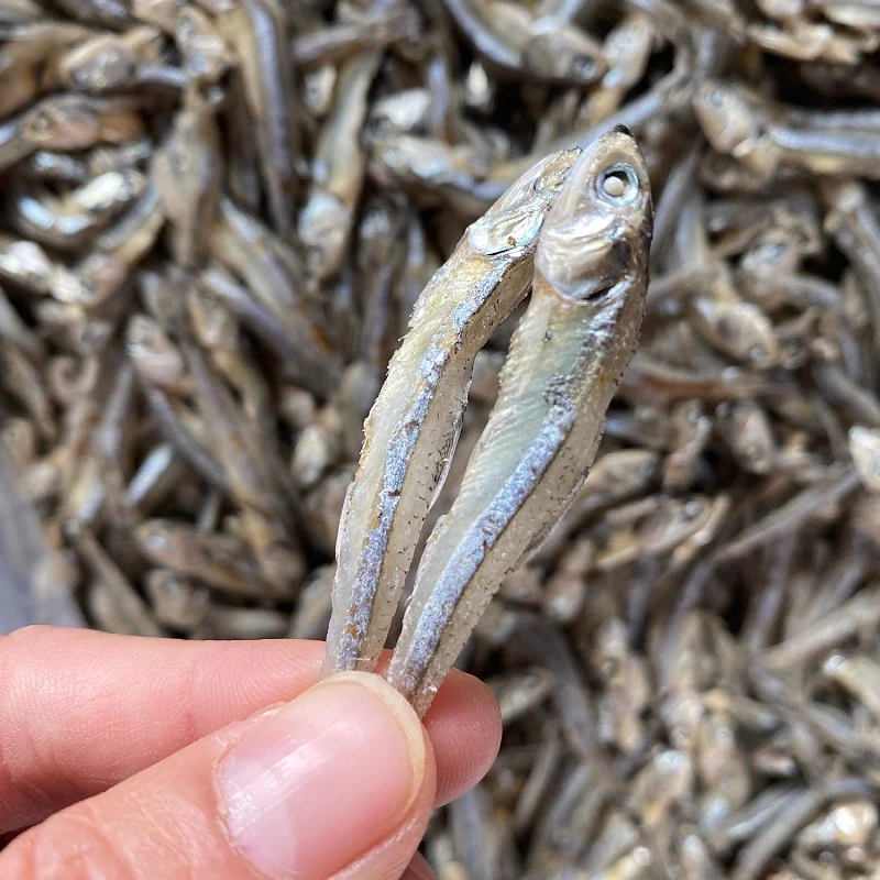本港饶鱼干 江鱼仔丁香鱼干鱼仔小公鱼仔干白饭鱼饶鱼仔
