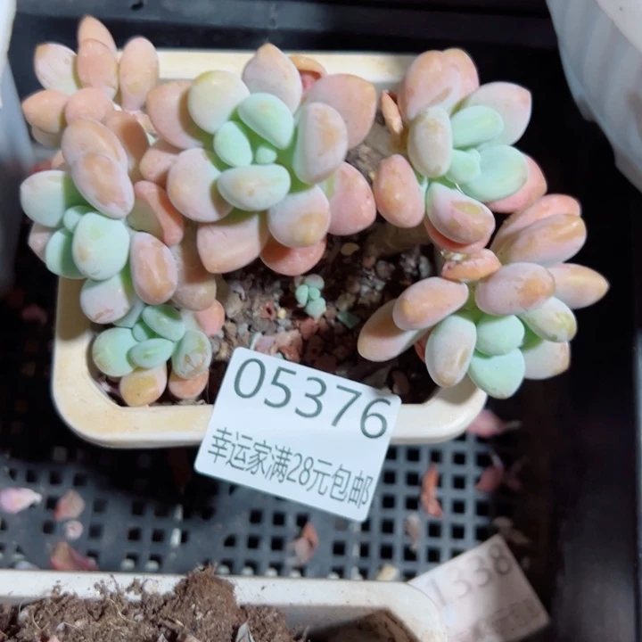 幸运的是我还没遇到过