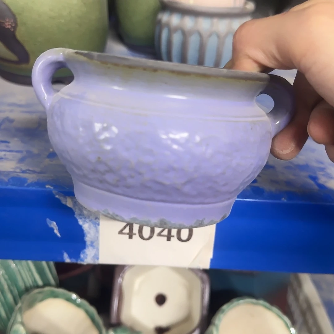 特价盆·天姿添香·福利局·凑9元发·4040