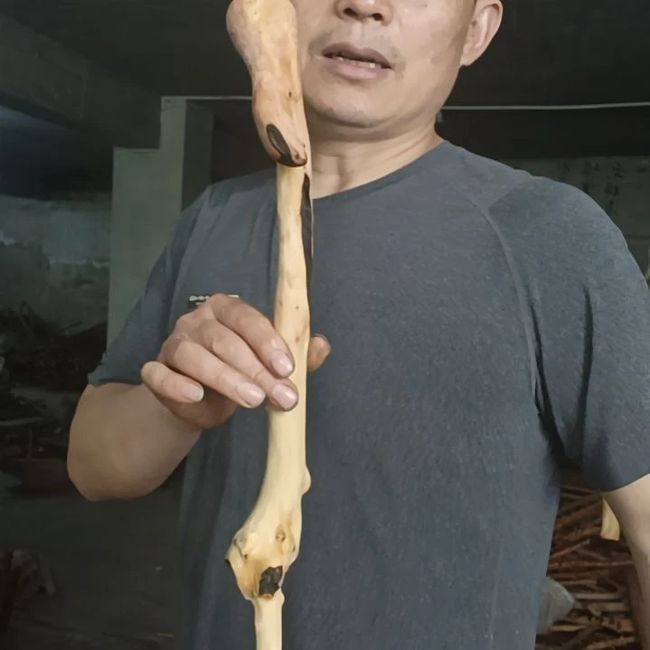稳定木水*客贵州檬子木   铁马鞭   根艺  半成品