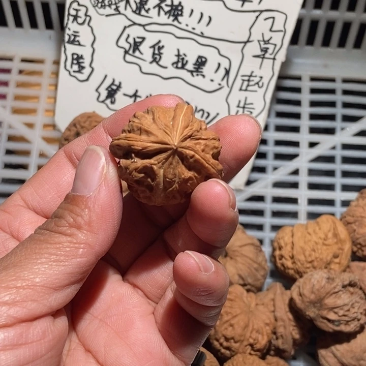飞***觉核桃三棱尺寸34全品