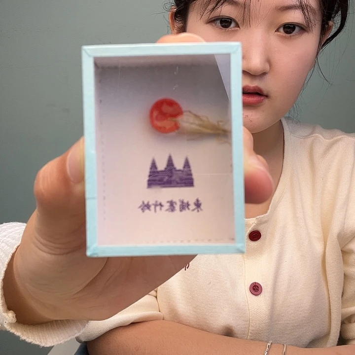 大个头单口柬埔寨长须