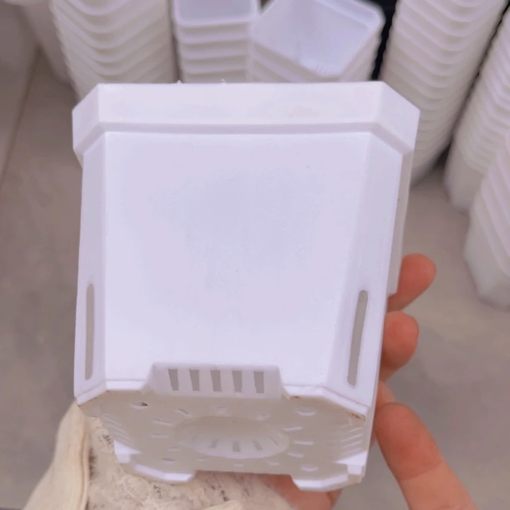 加厚10白方口10高8一组20个