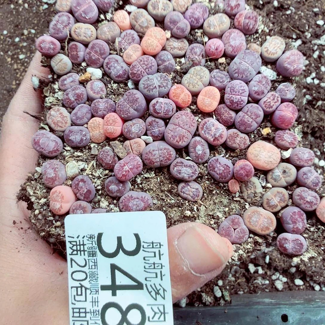小***天我们一起看电视呢哈哈好348