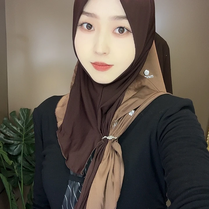 三醋酯纤维咖色套头