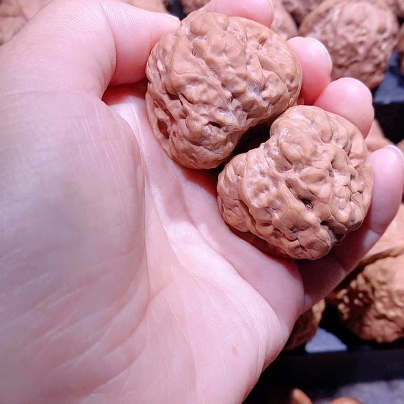 【闪购商品】核桃手串/手链呓**.边38蛤蟆头