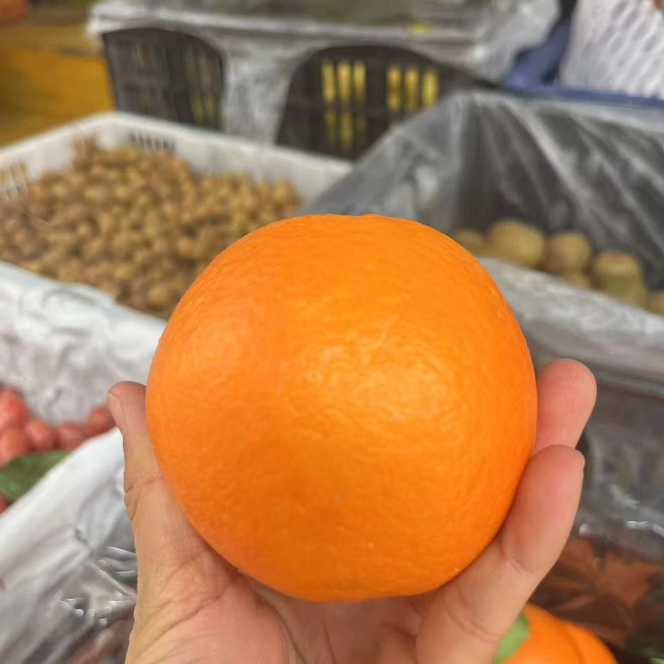 蜂蜜橙约500g   甜橙