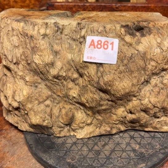 大果紫檀（缅甸花梨）