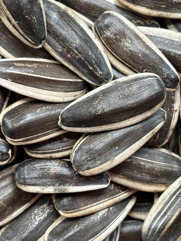 生瓜子2024年新货