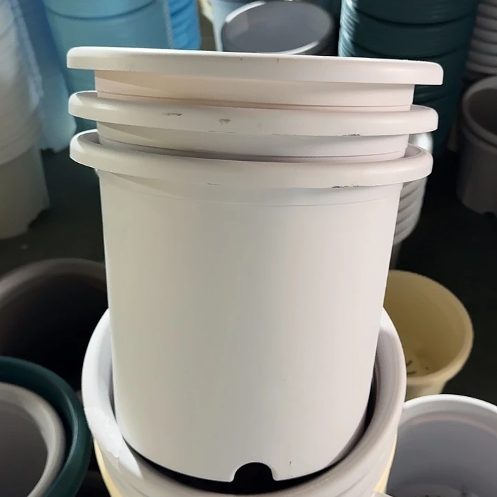 微瑕6#口径32浅灰7个无托