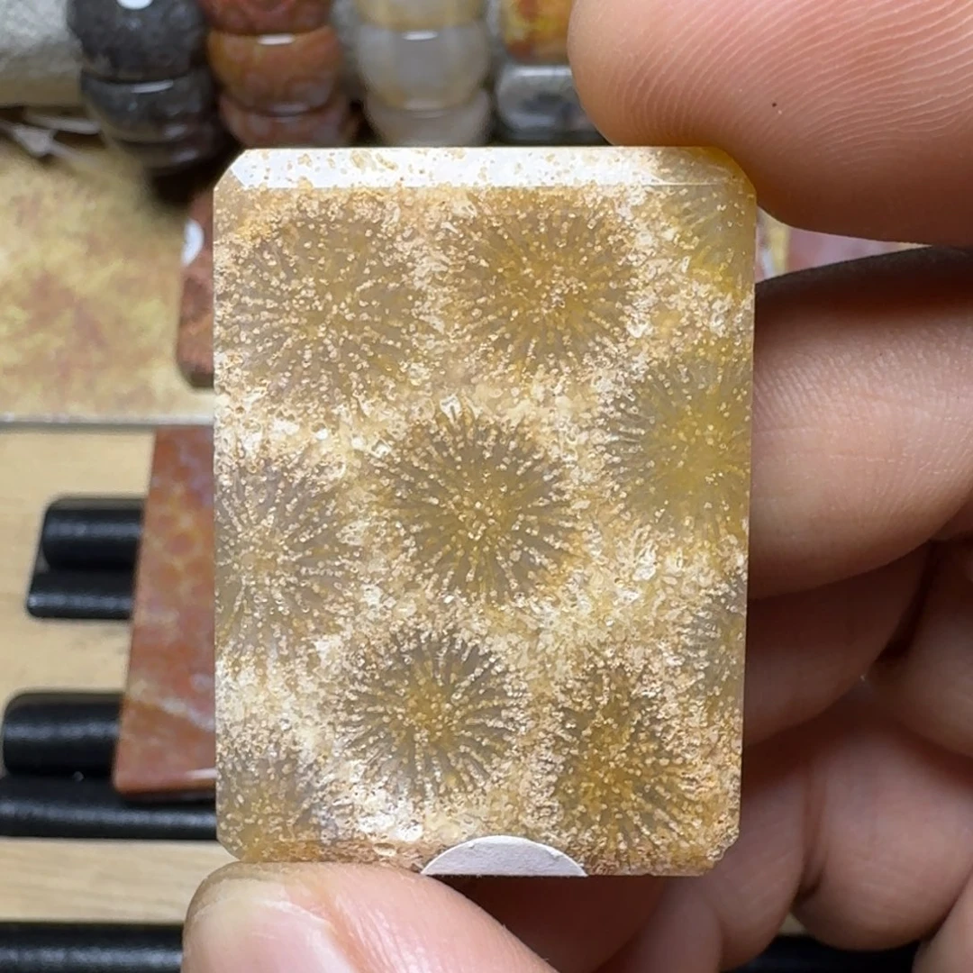 硅化玉纯天然石有机玉石保真色未镶嵌