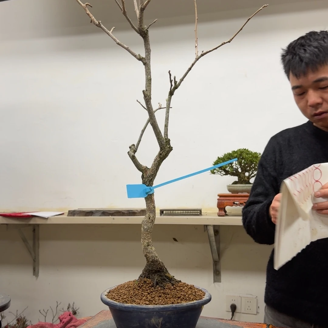 用***7无花朵978顺丰到付不包邮