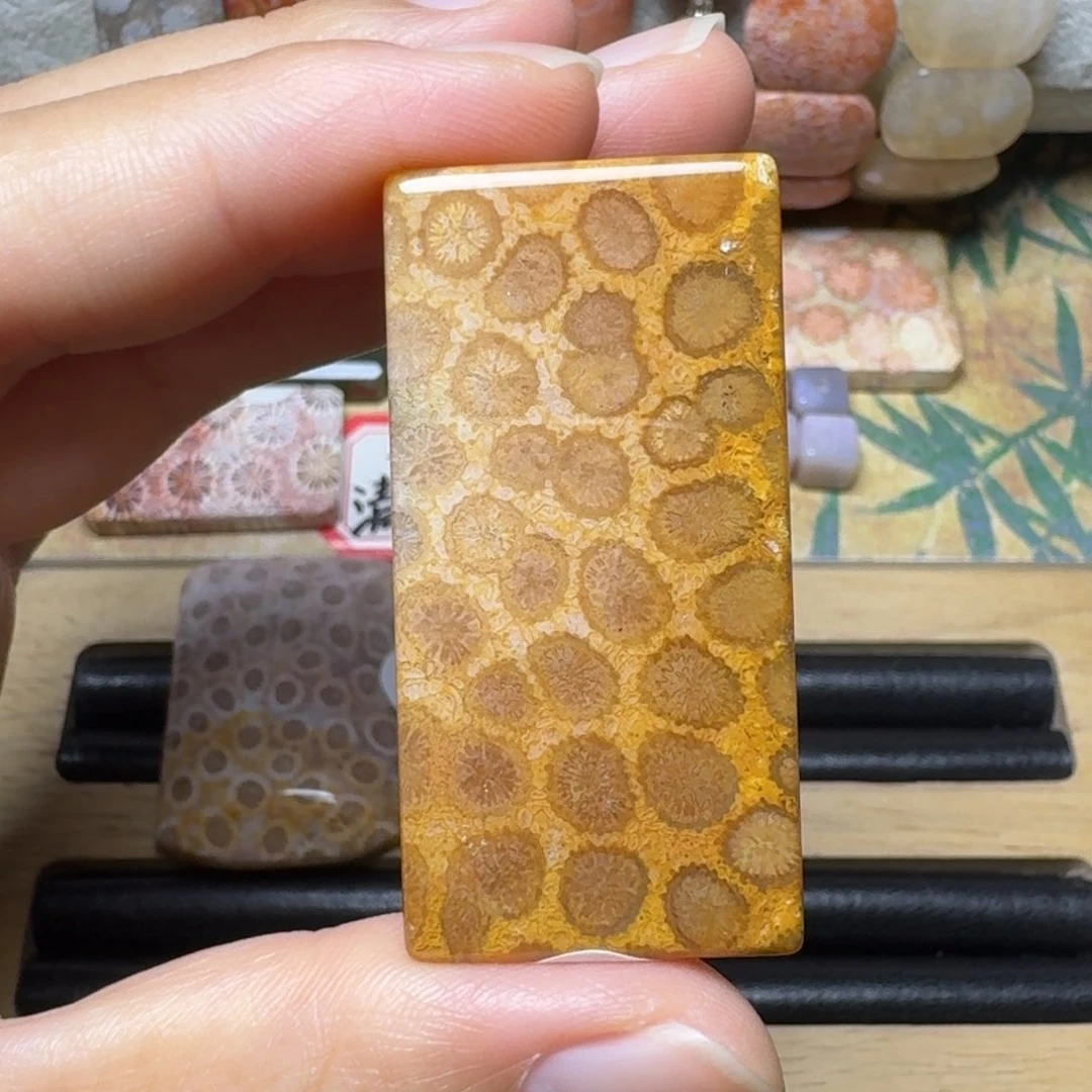 硅化玉豹纹，可盘未镶嵌