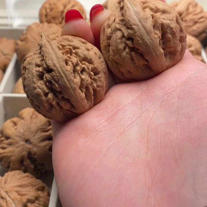 尚***星文玩核桃把件霸王龙