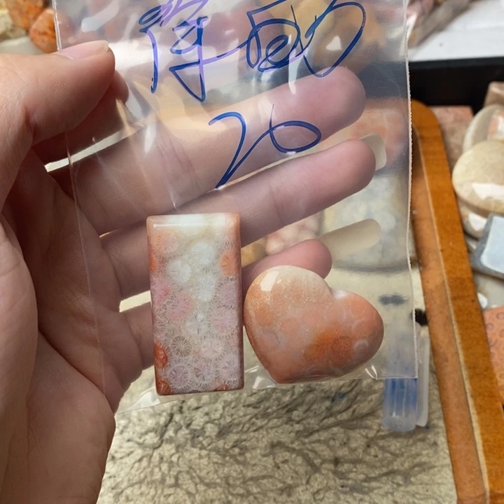 ****万颈饰未镶嵌硅化珊瑚（珊瑚玉）