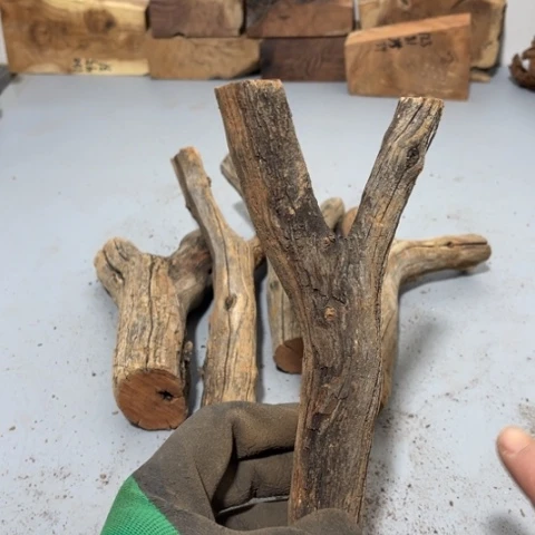 大果紫檀（缅甸花梨）临****）