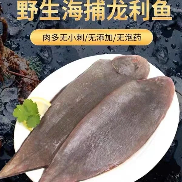 龙利鱼龙舌鱼广东野生深海捕捞宝宝辅食（2~3条/斤）帮杀