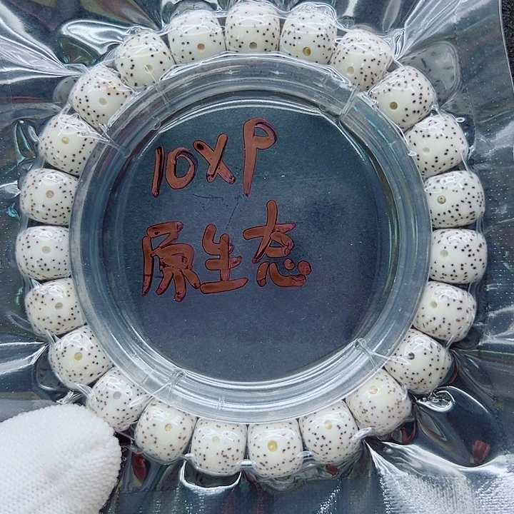 吊坠星月菩提10尺寸