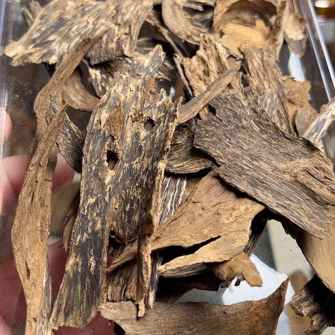 ****员沉香沉香碎屑菩萨棋沉香31克