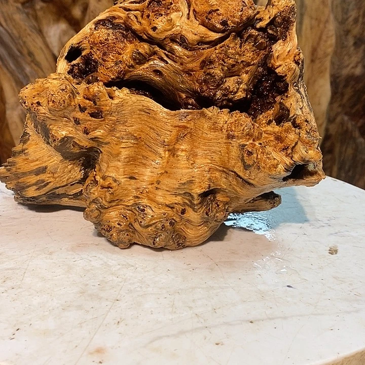 孙*娘我们都是你的粉丝16