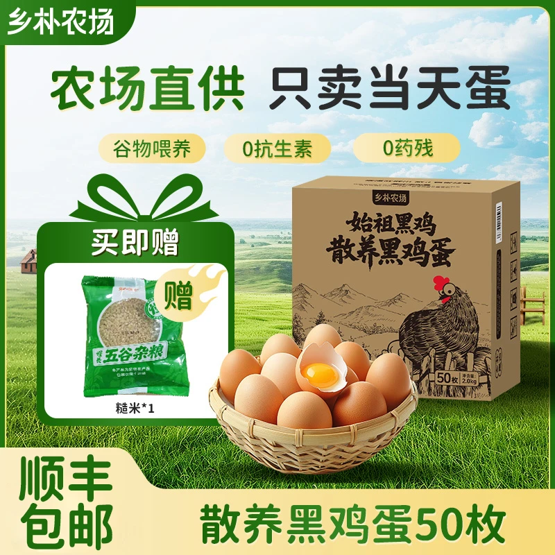 乡朴散养50枚营养细腻新鲜鸡蛋农家散养正宗土鸡蛋