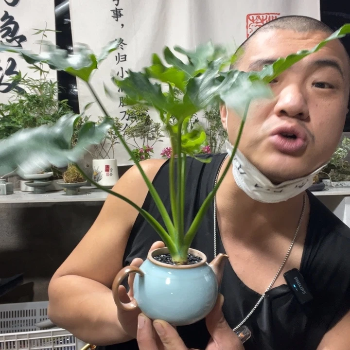 无花朵退款拉黑拉黑79