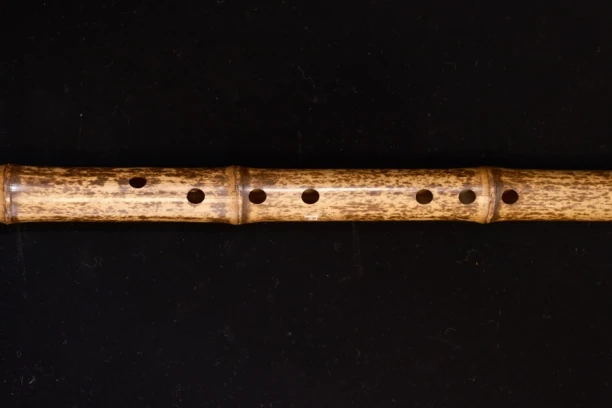 萧乐器专业初学入门素素紫竹洞箫